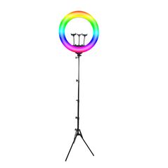 Tripod / Ring Light portable (precnik 56cm) (MS).