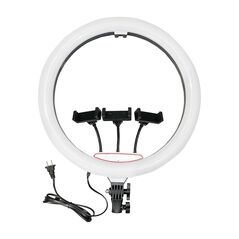 Selfie Ring Light portable LJ45 (precnik 45cm) (MS).