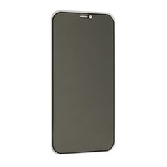 Staklena folija (zastitno kaljeno staklo) za ekran PRIVACY 2.5D full glue - Iphone 12 Pro Max (6.7) crna (MS).