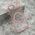 Zastitna maska (futrola) COLOR RING MagSafe - iPhone 17 Air roze (MS).