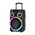 Zvucnik bluetooth NDR-B315 60W 15inca sa dva mikrofona crni (MS).