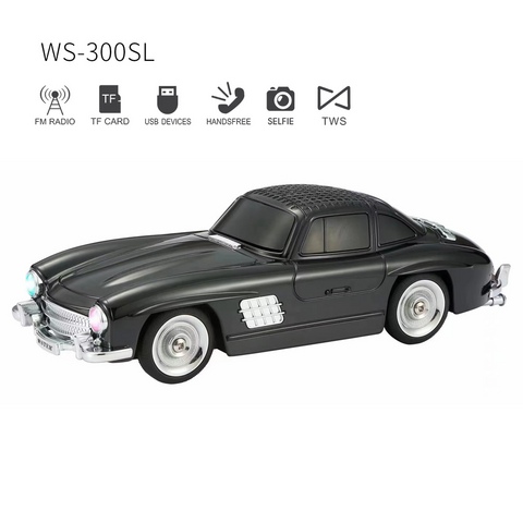 Bluetooth zvucnik WS-300SL crni.