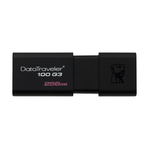 USB Flash memorija Kingston Data Traveler 3.0 256GB DT100G3/256 (MS).