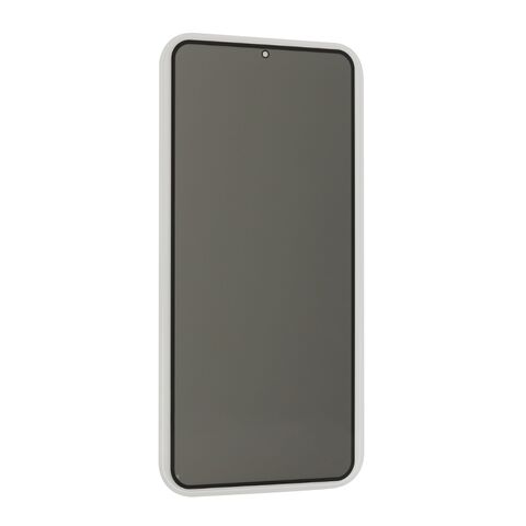 Staklena folija (zastitno kaljeno staklo) za ekran PRIVACY 2.5D full glue - Samsung Samsung G996 Galaxy S21 Plus crna (MS).